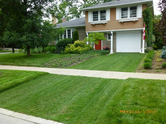 This driveway in Don Mills, Ont., outfitted with the PG45 Paving Grid, supports the weight of a car while also sucking up excess water. (Green Innovations)