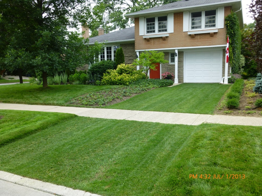 This driveway in Don Mills, Ont., outfitted with the PG45 Paving Grid, supports the weight of a car while also sucking up excess water. (Green Innovations)