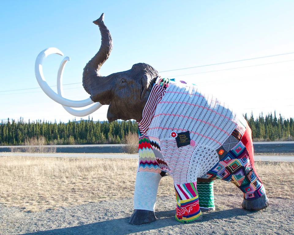 Photo c/o Yarn Bomb Yukon and Tyler Kuhn